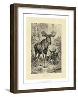 Vintage Moose or Elk-Specht Friedrich-Framed Art Print