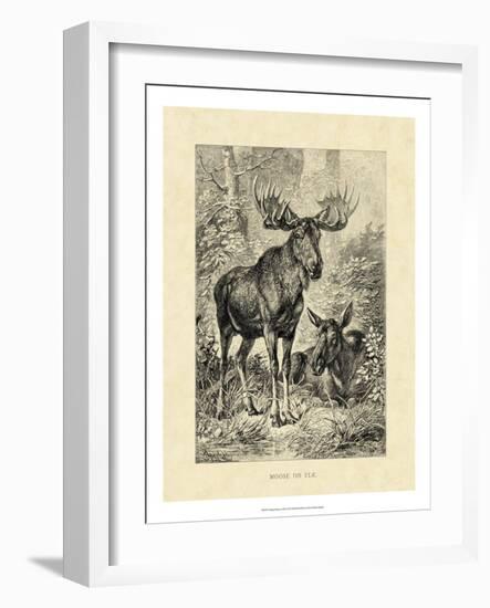 Vintage Moose or Elk-Specht Friedrich-Framed Art Print