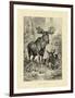 Vintage Moose or Elk-Specht Friedrich-Framed Art Print