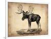 Vintage Moose-NaxArt-Framed Art Print