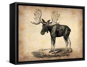 Vintage Moose-NaxArt-Framed Stretched Canvas