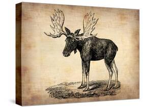 Vintage Moose-NaxArt-Stretched Canvas