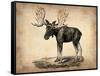 Vintage Moose-NaxArt-Framed Stretched Canvas