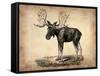 Vintage Moose-NaxArt-Framed Stretched Canvas