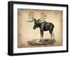 Vintage Moose-NaxArt-Framed Art Print