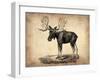 Vintage Moose-NaxArt-Framed Art Print