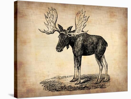 Vintage Moose-NaxArt-Stretched Canvas