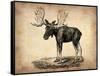 Vintage Moose-NaxArt-Framed Stretched Canvas