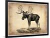 Vintage Moose-NaxArt-Framed Art Print