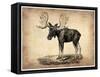 Vintage Moose-NaxArt-Framed Stretched Canvas