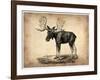 Vintage Moose-NaxArt-Framed Art Print