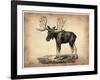 Vintage Moose-NaxArt-Framed Art Print