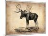 Vintage Moose-NaxArt-Mounted Art Print