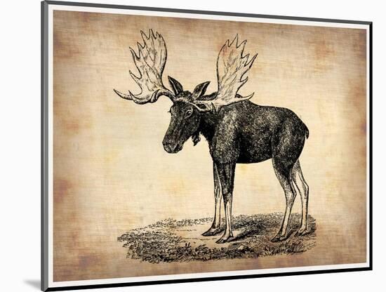 Vintage Moose-NaxArt-Mounted Art Print