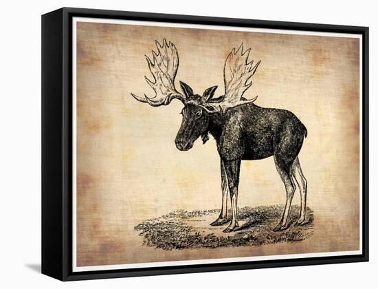 Vintage Moose-NaxArt-Framed Stretched Canvas