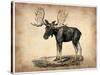 Vintage Moose-NaxArt-Stretched Canvas