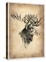 Vintage Moose-NaxArt-Stretched Canvas