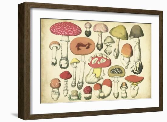 Vintage Mushroom Chart-Vision Studio-Framed Art Print