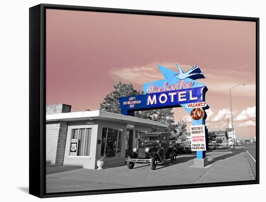 Vintage Neon Motel Sign in America-Salvatore Elia-Framed Stretched Canvas