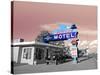 Vintage Neon Motel Sign in America-Salvatore Elia-Stretched Canvas