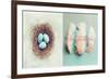 Vintage Nest of Feathers-Vicki Dvorak-Framed Premium Giclee Print