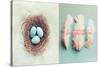 Vintage Nest of Feathers-Vicki Dvorak-Stretched Canvas