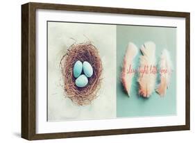 Vintage Nest of Feathers-Vicki Dvorak-Framed Premium Giclee Print