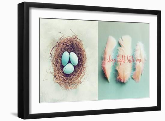 Vintage Nest of Feathers-Vicki Dvorak-Framed Premium Giclee Print