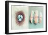 Vintage Nest of Feathers-Vicki Dvorak-Framed Premium Giclee Print