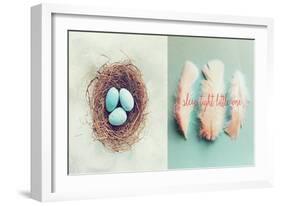 Vintage Nest of Feathers-Vicki Dvorak-Framed Premium Giclee Print