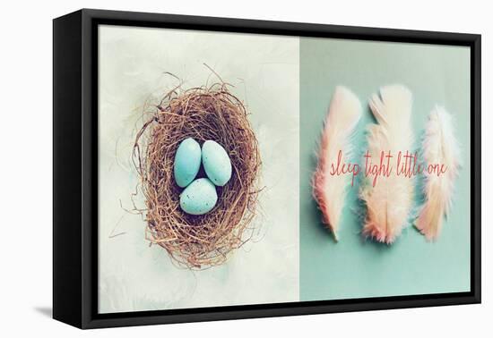 Vintage Nest of Feathers-Vicki Dvorak-Framed Stretched Canvas