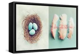 Vintage Nest of Feathers-Vicki Dvorak-Framed Stretched Canvas