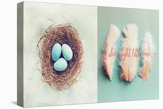 Vintage Nest of Feathers-Vicki Dvorak-Stretched Canvas