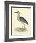 Vintage Night Heron-Morris-Framed Art Print