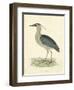 Vintage Night Heron-Morris-Framed Art Print