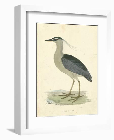 Vintage Night Heron-Morris-Framed Art Print