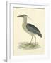 Vintage Night Heron-Morris-Framed Art Print