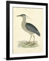 Vintage Night Heron-Morris-Framed Art Print