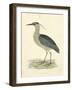 Vintage Night Heron-Morris-Framed Art Print