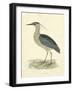 Vintage Night Heron-Morris-Framed Art Print