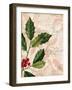 Vintage Noel I-Katie Pertiet-Framed Art Print