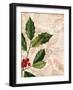 Vintage Noel I-Katie Pertiet-Framed Art Print