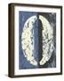 Vintage Numbers X-Ethan Harper-Framed Art Print