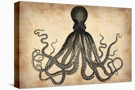 Vintage Octopus-NaxArt-Stretched Canvas