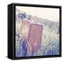 Vintage Office II-Thomas Brown-Framed Stretched Canvas