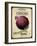 Vintage Onion Seed Packet-null-Framed Giclee Print