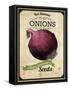 Vintage Onion Seed Packet-null-Framed Stretched Canvas