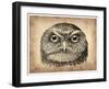 Vintage Owl Face-NaxArt-Framed Art Print