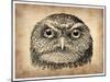 Vintage Owl Face-NaxArt-Mounted Art Print