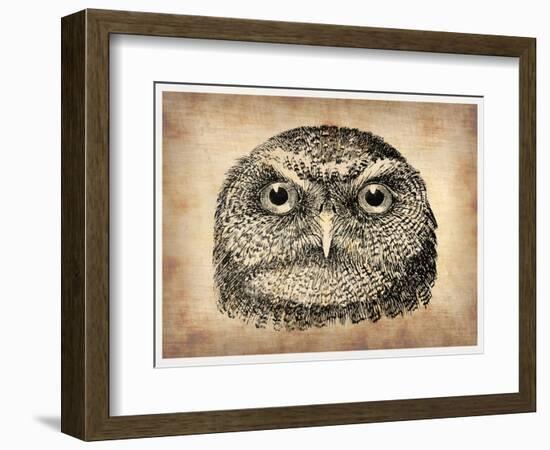 Vintage Owl Face-NaxArt-Framed Art Print